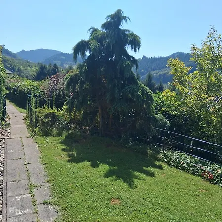 Apartmán Moosfuchs *